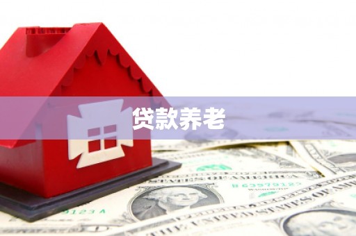 汉中贷款养老