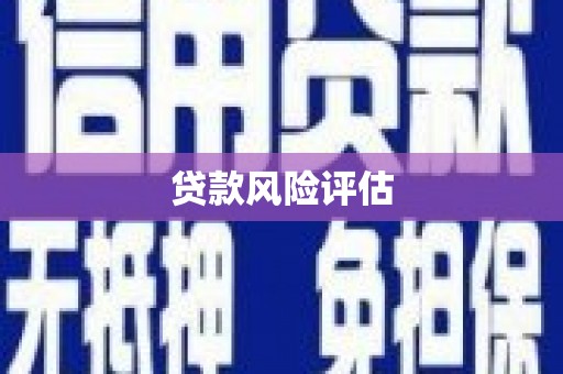 汉中贷款风险评估