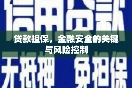 汉中贷款担保，金融安全的关键与风险控制