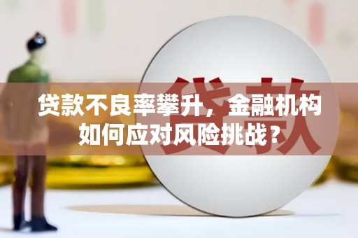 汉中贷款不良率攀升，金融机构如何应对风险挑战？