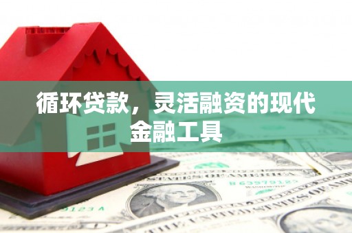 汉中循环贷款，灵活融资的现代金融工具