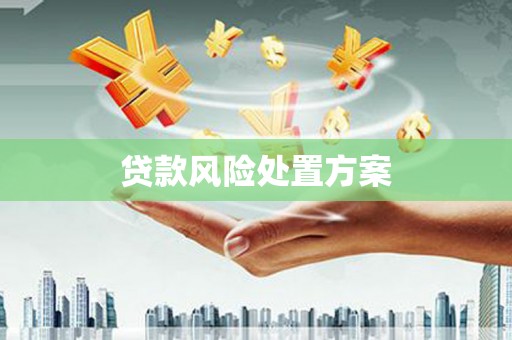 汉中贷款风险处置方案