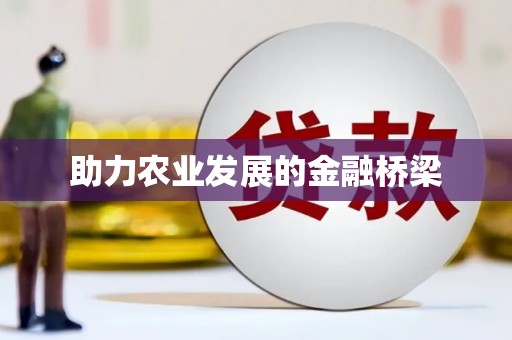 汉中助力农业发展的金融桥梁