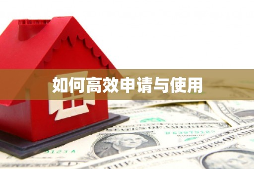 汉中如何高效申请与使用