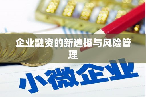 汉中企业融资的新选择与风险管理