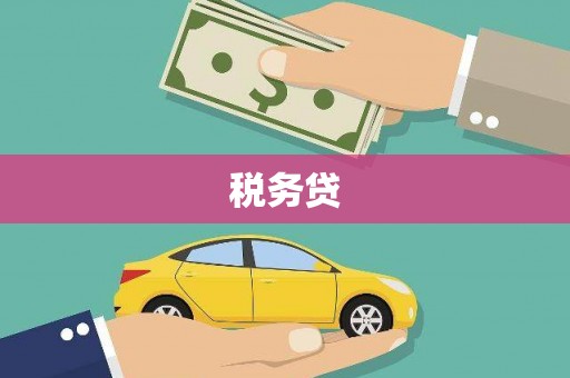 汉中税务贷